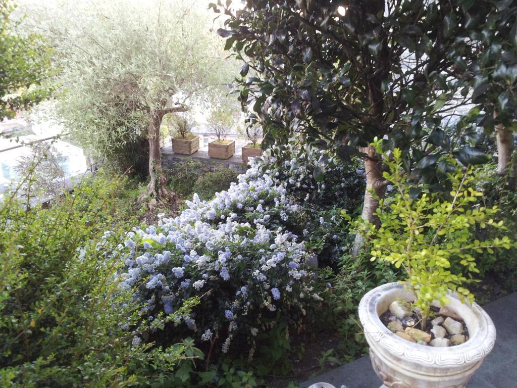 Casona El Gurugu Hotell Luarca Exteriör bild